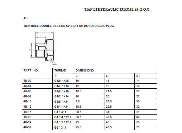 4B BSP male 60° cone plug with o ring