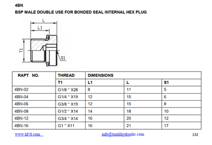 4BN WD BSP thread plug with o ring hex type