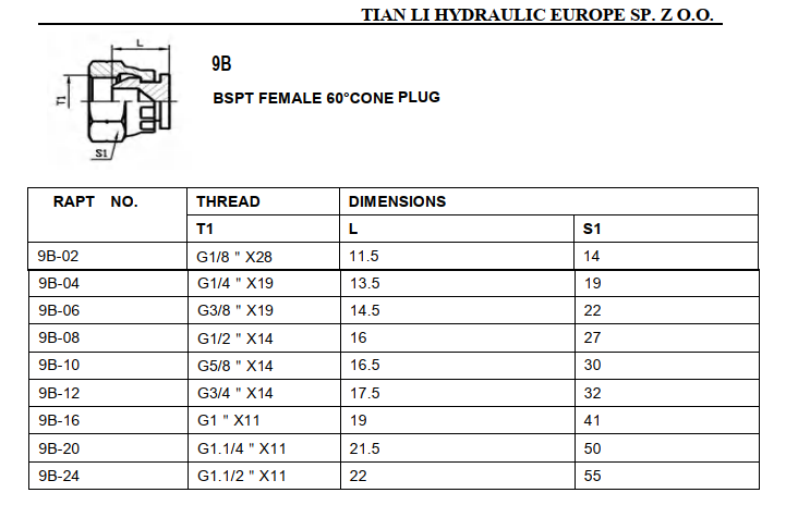 9B BSP female 60° cone female Swivel Cap.