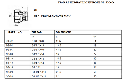 9B BSP female 60° cone female Swivel Cap.